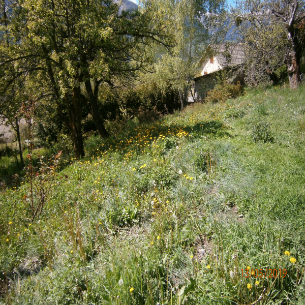 Offres de vente Terrain Saint-Sauveur 05200