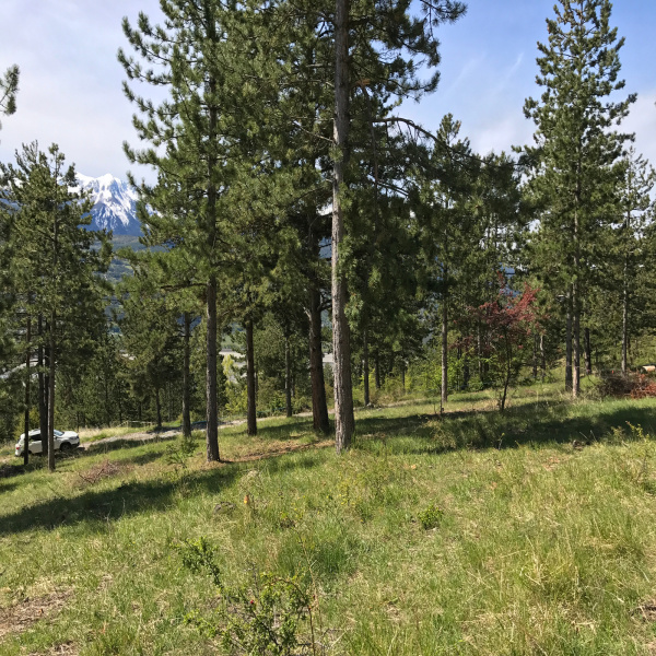 Offres de vente Terrain Embrun 05200